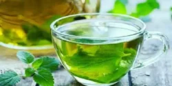 خواص چای گزنه خیراندیش در طب سنتی برای مردان و زنان