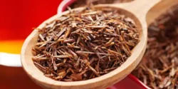 خواص چای رویبوس خیراندیش در طب سنتی برای مردان و زنان