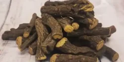خواص چوبک خیراندیش در طب سنتی برای مردان و زنان