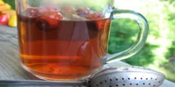 خواص دمنوش عناب خیراندیش در طب سنتی برای مردان و زنان