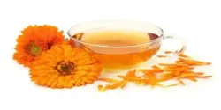 خواص دمنوش گل همیشه بهار خیراندیش در طب سنتی برای مردان و زنان
