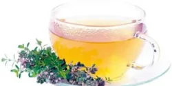 خواص دمنوش کاکوتی خیراندیش در طب سنتی برای مردان و زنان