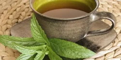 خواص دمنوش گزنه خیراندیش در طب سنتی برای مردان و زنان