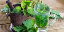 خواص دمنوش نعناع فلفلی خیراندیش در طب سنتی برای مردان و زنان