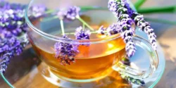 خواص دمنوش اسطوخودوس خیراندیش در طب سنتی برای مردان و زنان
