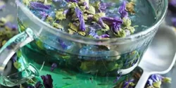 خواص دمنوش پنیرک خیراندیش در طب سنتی برای مردان و زنان