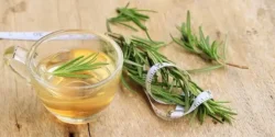 خواص دمنوش رزماری خیراندیش در طب سنتی برای مردان و زنان