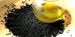 خواص دمنوش سیاه دانه خیراندیش در طب سنتی برای مردان و زنان