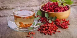 خواص دمنوش زرشک خیراندیش در طب سنتی برای مردان و زنان