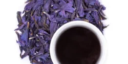 خواص دمنوش گل گاوزبان خیراندیش در طب سنتی برای مردان و زنان