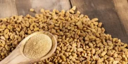 خواص دانه شنبلیله خیراندیش در طب سنتی برای مردان و زنان