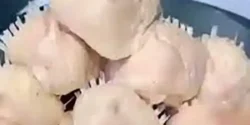 خواص دنبه مرغ خیراندیش در طب سنتی برای مردان و زنان