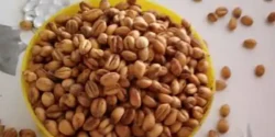خواص گندم بو داده خیراندیش در طب سنتی برای مردان و زنان