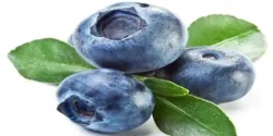خواص قره قات خیراندیش در طب سنتی برای مردان و زنان
