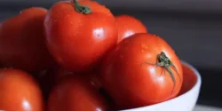 خواص گوجه خیراندیش در طب سنتی برای مردان و زنان