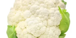 خواص گل کلم خیراندیش در طب سنتی برای مردان و زنان