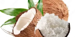 خواص گوشت نارگیل خیراندیش در طب سنتی برای مردان و زنان