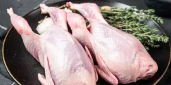 خواص گوشت پرندگان وحشی خیراندیش در طب سنتی برای مردان و زنان