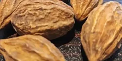 خواص هلیله زرد خیراندیش در طب سنتی برای مردان و زنان