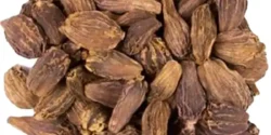 خواص هل باد خیراندیش در طب سنتی برای مردان و زنان