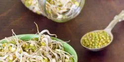 خواص جوانه شاهدانه خیراندیش در طب سنتی برای مردان و زنان