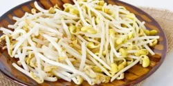 خواص جوانه سویا خیراندیش در طب سنتی برای مردان و زنان