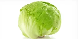 خواص کاهو چینی خیراندیش در طب سنتی برای مردان و زنان