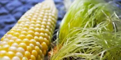خواص کاکل ذرت خیراندیش در طب سنتی برای مردان و زنان