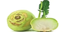خواص کلم سنگ خیراندیش در طب سنتی برای مردان و زنان