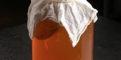 خواص کامبوجا خیراندیش در طب سنتی برای مردان و زنان