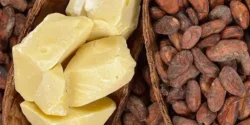 خواص کره کاکائو خیراندیش در طب سنتی برای مردان و زنان