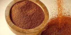 خواص خاکشیر برای مردان و زنان در طب سنتی مدرن