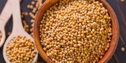 خواص خردل خیراندیش در طب سنتی برای مردان و زنان