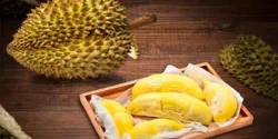 خواص خارگیل خیراندیش در طب سنتی برای مردان و زنان