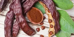خواص خرنوب خیراندیش در طب سنتی برای مردان و زنان
