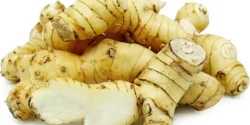 خواص خولنجان خیراندیش در طب سنتی برای مردان و زنان