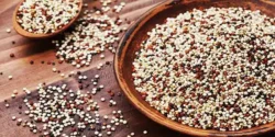 خواص کینوا خیراندیش در طب سنتی برای مردان و زنان