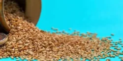 خواص کنجد قهوه ای خیراندیش در طب سنتی برای مردان و زنان