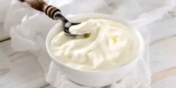 خواص ماست یونانی خیراندیش در طب سنتی برای مردان و زنان
