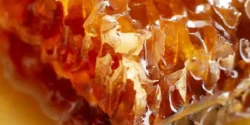 خواص موم عسل خیراندیش در طب سنتی برای مردان و زنان