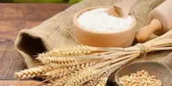 خواص نشاسته گندم خیراندیش در طب سنتی برای مردان و زنان
