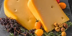 خواص پنیر گودا خیراندیش در طب سنتی برای مردان و زنان