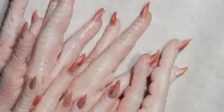 خواص پای مرغ خیراندیش در طب سنتی برای مردان و زنان