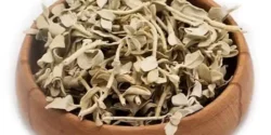 خواص پولک خیراندیش در طب سنتی برای مردان و زنان