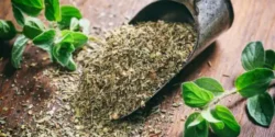 خواص پونه کوهی برای مردان و زنان در طب سنتی مدرن