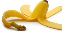 خواص پوست موز خیراندیش در طب سنتی برای مردان و زنان