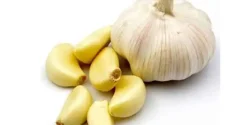 خواص پوست سیر خیراندیش در طب سنتی برای مردان و زنان