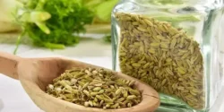 خواص رازیانه برای مردان و زنان در طب سنتی مدرن