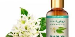 خواص روغن بهار نارنج خیراندیش در طب سنتی برای مردان و زنان