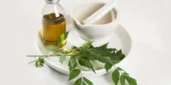 خواص روغن چای سبز خیراندیش در طب سنتی برای مردان و زنان